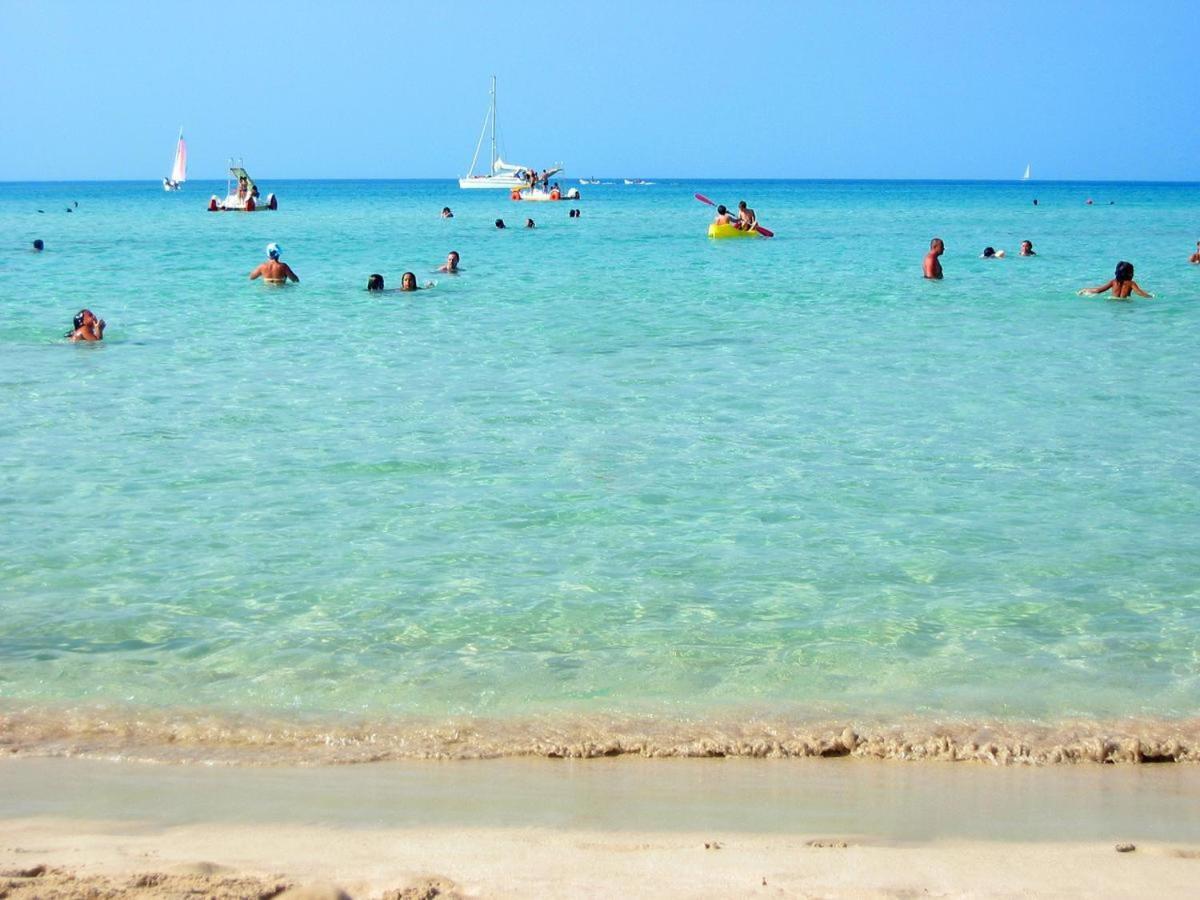 B&B Le Onde Praiola テッラジーニ エクステリア 写真